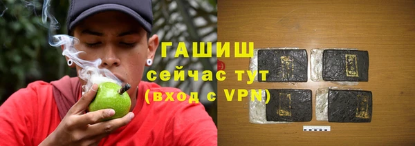 тгк Бородино
