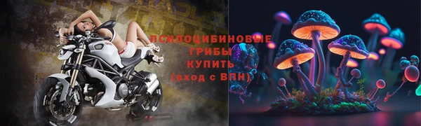 тгк Бородино