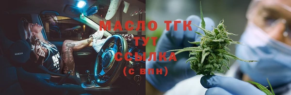 тгк Бородино