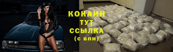 тгк Бородино
