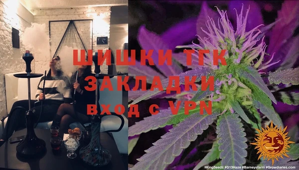 тгк Бородино