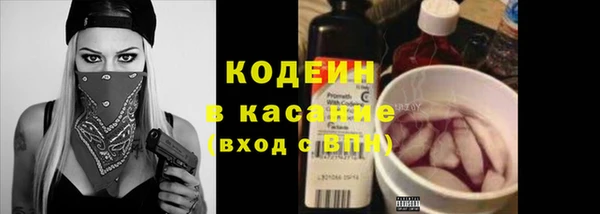 тгк Бородино