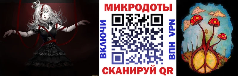 что такое наркотик  Владикавказ  Псилоцибиновые грибы Psilocybe 